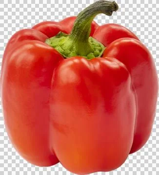 Red Pepper Isolated on a White Background Stock Photos