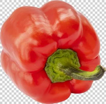 Red Pepper Isolated on a White Background Stock Photos