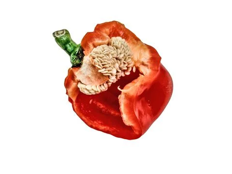 Red pepper isolated on white Stockfoto's