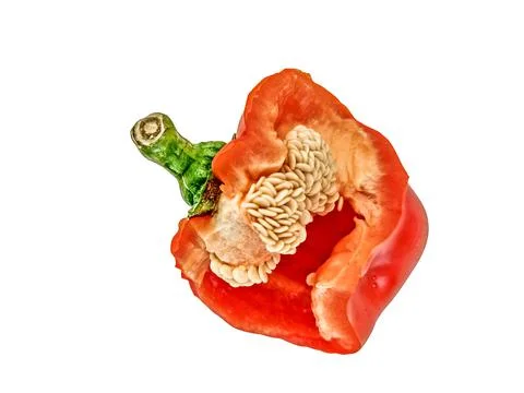 Red pepper isolated on white Stock-Fotos