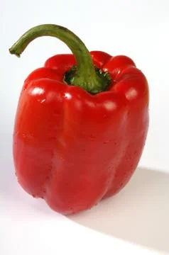 Red pepper on a light background Stock Photos