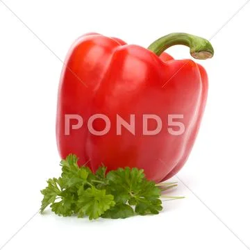 Red pepper Stock Photos