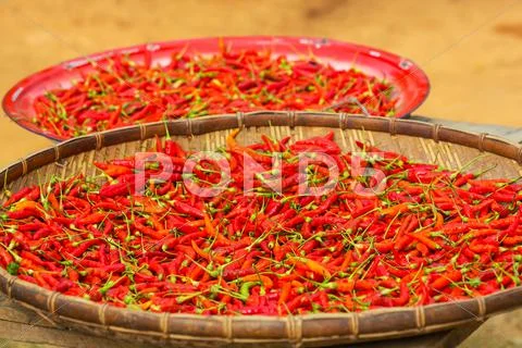 Red pepper Stock Photos