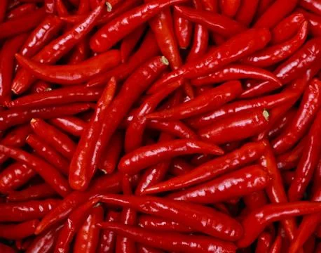 Red pepper Foto stock