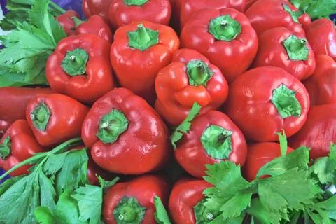 Red pepper Stock Photos