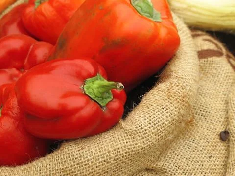 Red pepper Stock Photos