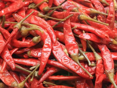 Red pepper Stock Photos