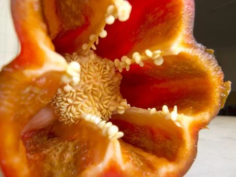 Red pepper Stock-Fotos