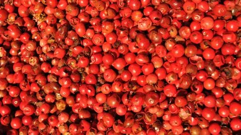 Red pepper Stock Photos