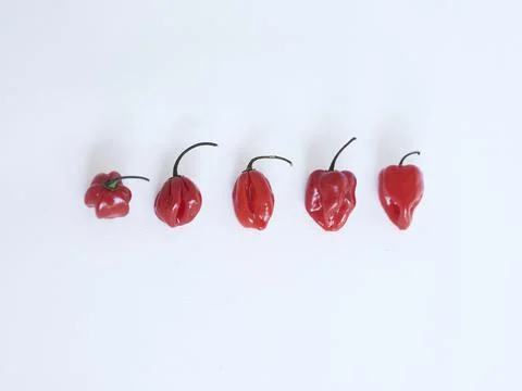 Red pepper Stock Photos
