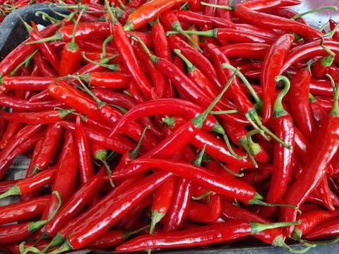 Red pepper Stock Photos