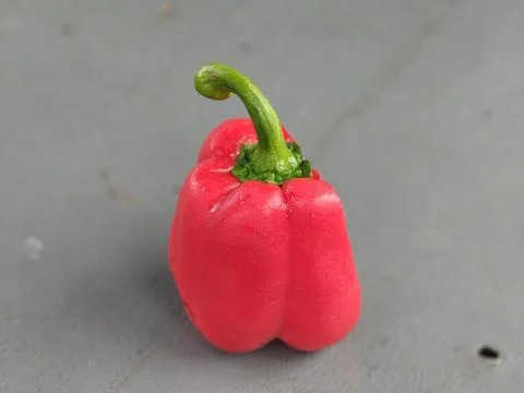 Red pepper Stock Photos