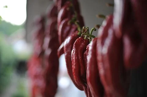Red pepper in the process of drying in the wind Stock Photos