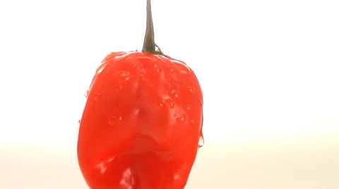 Red pepper rotates in frame Stock Footage 46586186