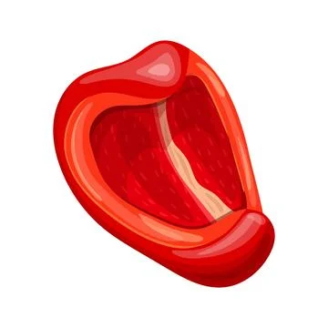 Red pepper slice cartoon vector illustration Stock Illustration