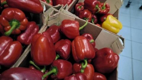 Red pepper on store shelves Stock Footage 107363200