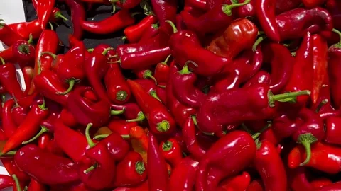 Red pepper top view vegetables Stock Footage 240425422