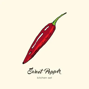 Red pepper vector isolate. Hand drawn illustration sweet bulgarian bell papri Stock Illustration