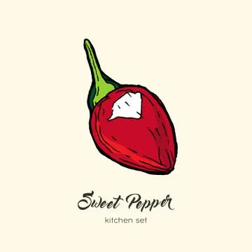 Red pepper vector isolate. Hand drawn illustration sweet bulgarian bell papri Stock Illustration