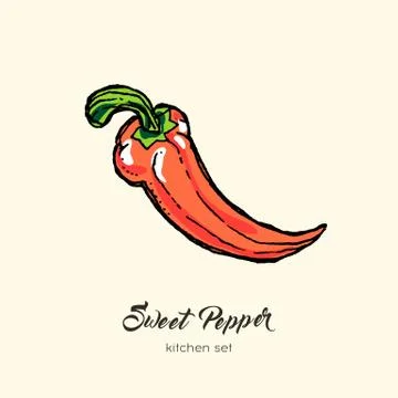 Red pepper vector isolate. Hand drawn illustration sweet bulgarian bell papri Stock Illustration