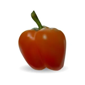 Red pepper on white background Stock Illustration