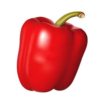 Red pepper on white background Stock Illustration