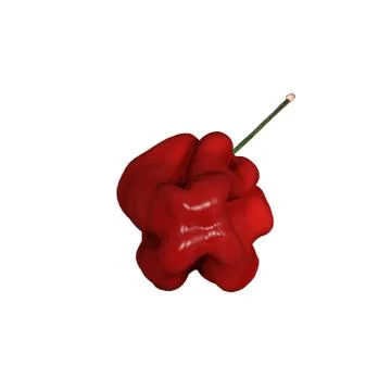 Red pepper on a white background. Isolate. Stock Illustration