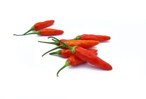 Red pepper on white background Stock Photos
