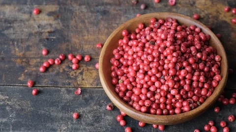 Red Peppercorn Stock Footage 100175643