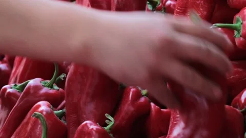 Red peppers are being prepared in bazaar to sell Stock Footage 218775271