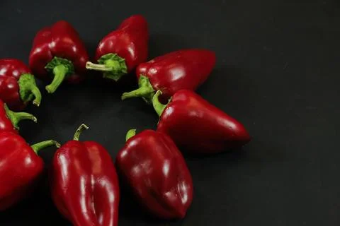 Red peppers on black background Stock Photos