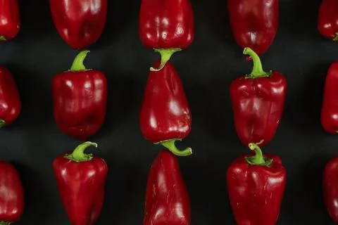 Red peppers on black background Stock Photos
