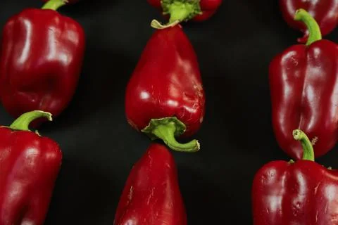 Red peppers on black background Stock Photos