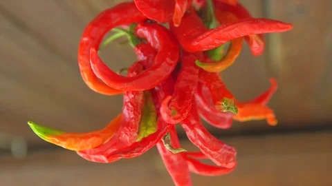Red peppers hanging from the ceiling to dry Stock Footage 69860206