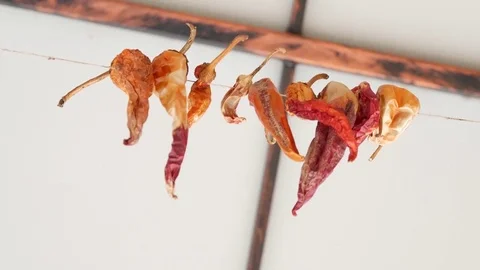 Red peppers hanging from the ceiling to dry. Stock Footage 75750009