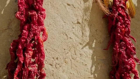 Red peppers hanging on the wall Video stock 259616229