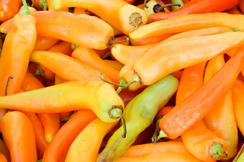 Red peppers Stock Photos
