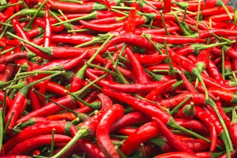 Red peppers Stock Photos