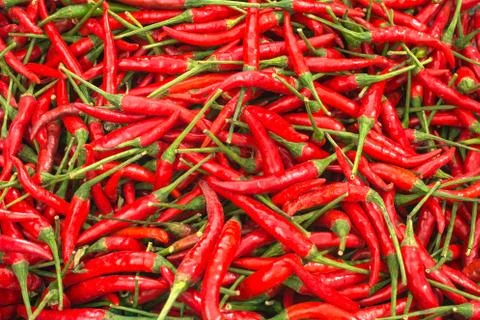 Red peppers Stock Photos