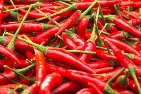 Red peppers Stock Photos