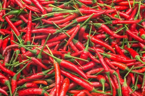 Red peppers Stock Photos