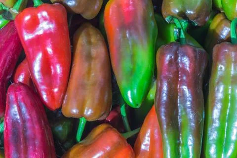 Red peppers Stock Photos