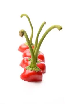Red peppers Stock Photos