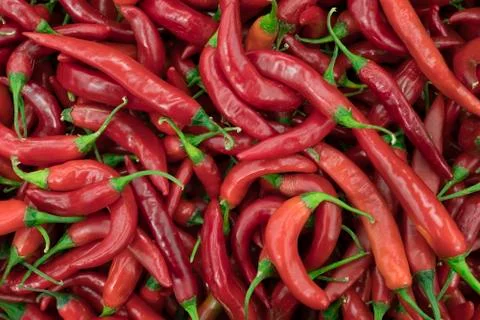 Red peppers Stock Photos