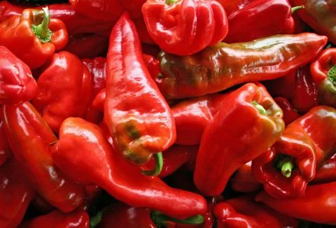 Red Peppers Foto stock