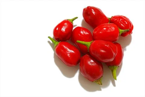 Red peppers 写真素材