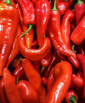 Red peppers Stock Photos