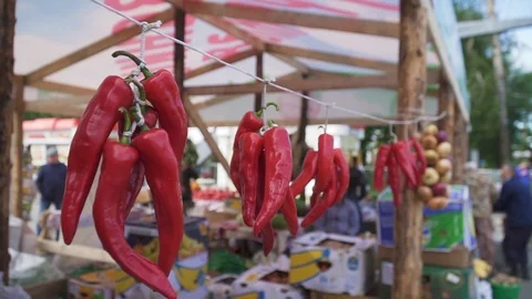 Red Peppers on a rope Stock Footage 95765798