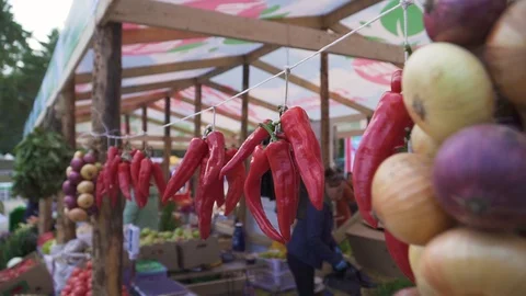 Red Peppers on a rope Stock Footage 95765832