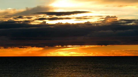 Red perfection 1 Video stock 829501